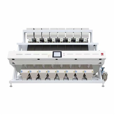 סדרן צבע אורז